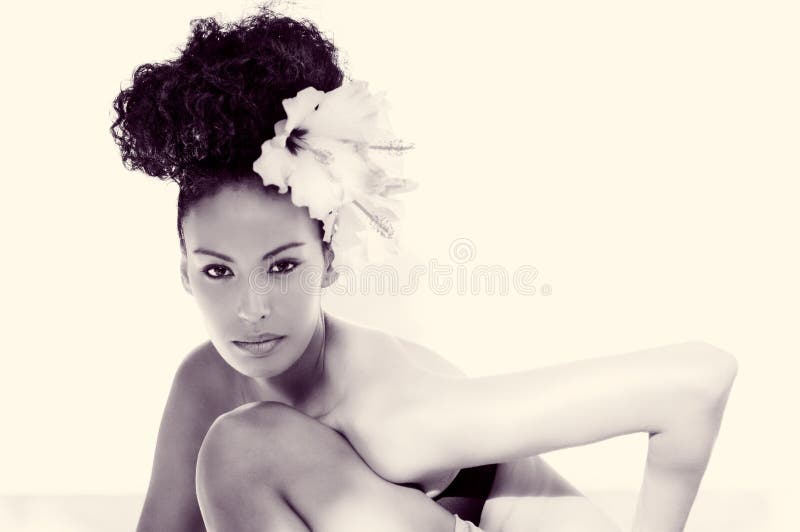 Mujer negra, modelo de la moda, con las flores grandes en su pelo fotos de archivo libres de regalías Mujer negra, modelo de la moda, con las flores grandes en su pelo fotos de archivo libres de regalías