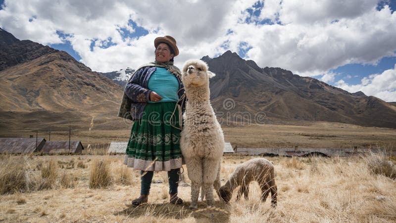 Mujer Peruana Con El Lama Y La Alpaca Imagen de archivo editorial - Imagen  de alpaca, estilo: 113641459