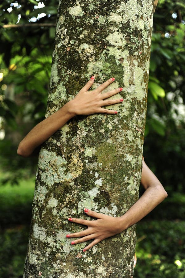 Mujer Que Abraza Un árbol En El Bosque Imagen de archivo 