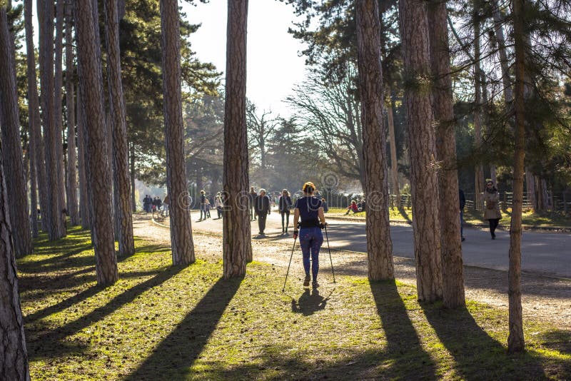 Mujer que ejercita en parque en París El caminar nórdico en naturaleza de la primavera imágenes de archivo libres de regalías Mujer que ejercita en parque en París El caminar nórdico en naturaleza de la primavera imágenes de archivo libres de regalías