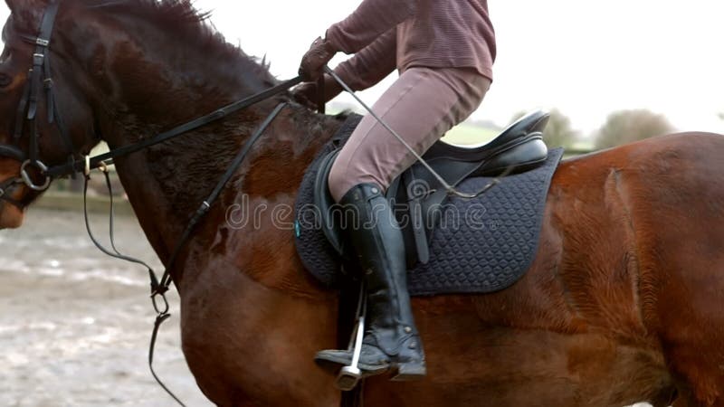 Mujer que monta un caballo afuera almacen de video
