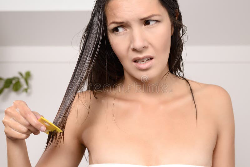 Woman combing out lice in her hair with a lice comb grimacing as she pulls the fine teeth through her long brown tresses to control the contagious infestation of tiny wingless insects. Woman combing out lice in her hair with a lice comb grimacing as she pulls the fine teeth through her long brown tresses to control the contagious infestation of tiny wingless insects.