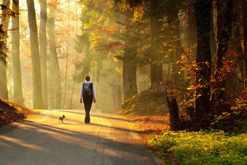 Mujer que recorre en bosque del otoño imagen de archivo libre de regalías Mujer que recorre en bosque del otoño imagen de archivo libre de regalías