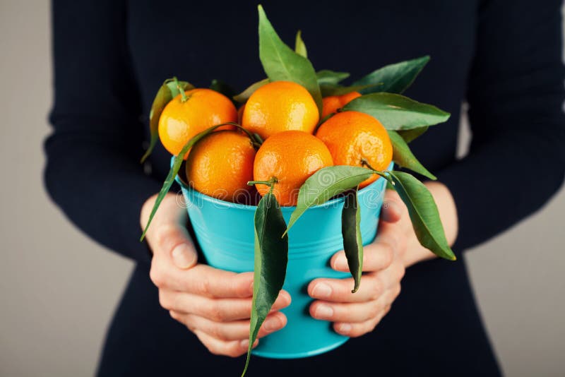 Mujer que se sostiene en mandarinas o mandarines de las manos con las hojas verdes, estilo del vintage imágenes de archivo libres de regalías Mujer que se sostiene en mandarinas o mandarines de las manos con las hojas verdes, estilo del vintage imágenes de archivo libres de regalías