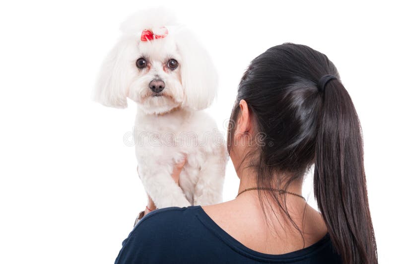 Mujer que sostiene su perro en el hombro fotografía de archivo Mujer que sostiene su perro en el hombro fotografía de archivo