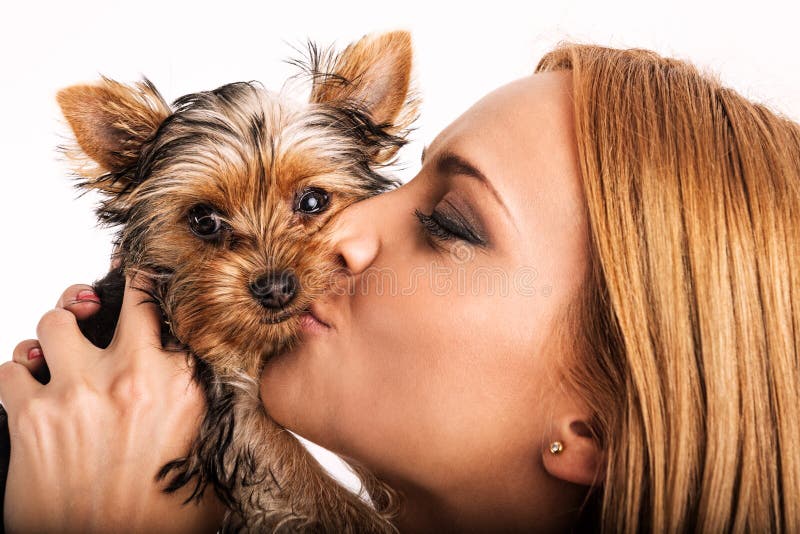 Mujer rubia hermosa que besa al terrier de Yorkshire - ascendente cercano fotos de archivo Mujer rubia hermosa que besa al terrier de Yorkshire - ascendente cercano fotos de archivo