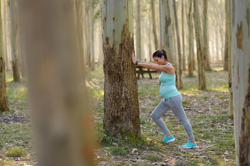 Mujer sana embarazada en el entrenamiento al aire libre de la aptitud que estira la caloría imagen de archivo libre de regalías Mujer sana embarazada en el entrenamiento al aire libre de la aptitud que estira la caloría imagen de archivo libre de regalías