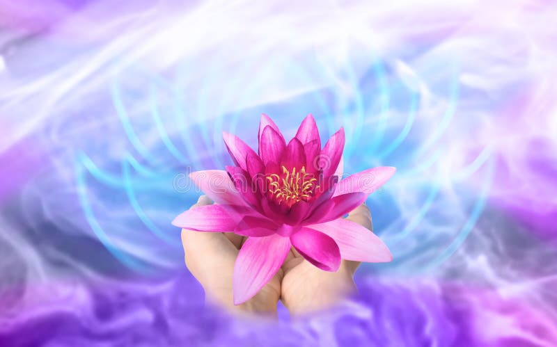 Mujer Sujetando Una Hermosa Flor De Loto Con El Cierre De Fondo Brillante Foto de archivo - Imagen de apacible, pétalo: 205669506 Mujer Sujetando Una Hermosa Flor De Loto Con El Cierre De Fondo Brillante Foto de archivo - Imagen de apacible, pétalo: 205669506