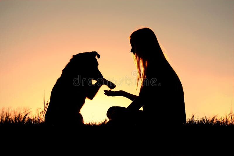 Mujer y su perro que sacuden la silueta de las manos fotografía de archivo libre de regalías Mujer y su perro que sacuden la silueta de las manos fotografía de archivo libre de regalías