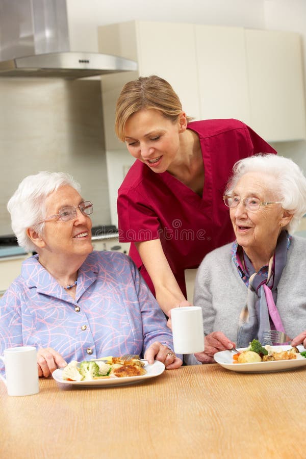 Mujeres mayores con el cuidador que disfruta de la comida en el país