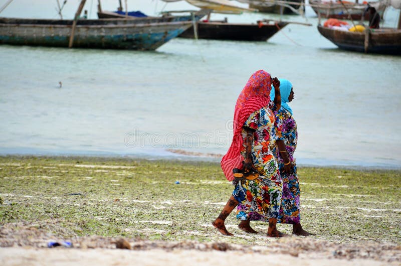 Mujeres musulmanes que recorren en la playa, Zanzibar foto de archivo Mujeres musulmanes que recorren en la playa, Zanzibar foto de archivo