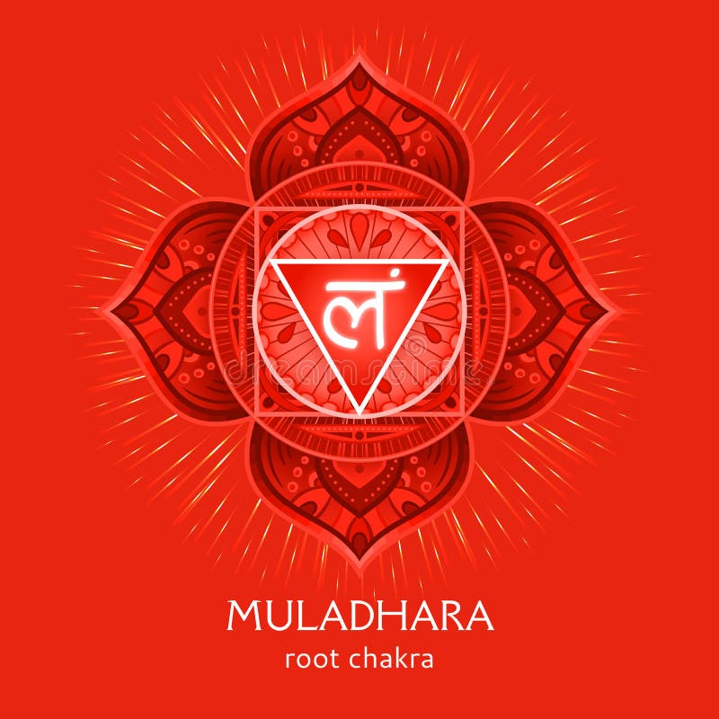 Muladhara, root chakra symbol. Colorful mandala. Vector illustration