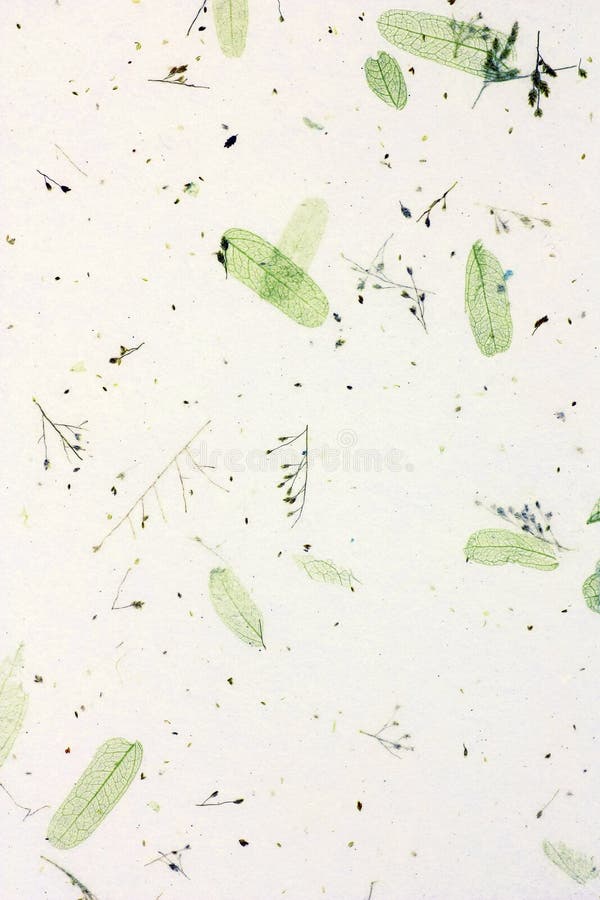 Mulberry paper royalty free stock photos