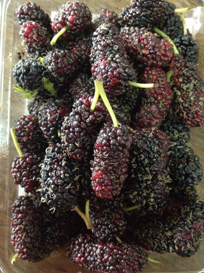 Mulberry stock image. Image of food, mulberry, table 51390501