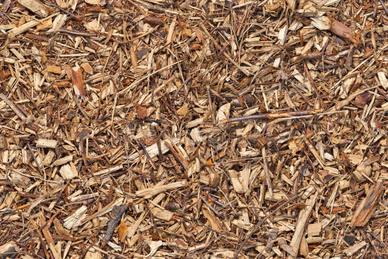Mulch bark seamless texture stock image