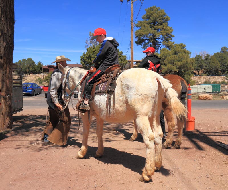 USA/Grand Canyon: Mule ride