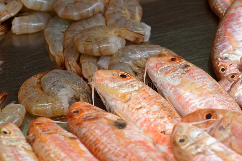 Mulet, perche et crevettes photo stock Mulet, perche et crevettes photo stock