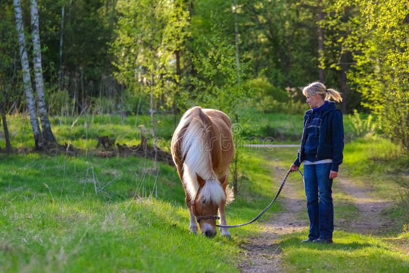 Mulher E Cavalo Pulando Uma Cerca Imagem de Stock - Imagem de equestre, animal: 208048229