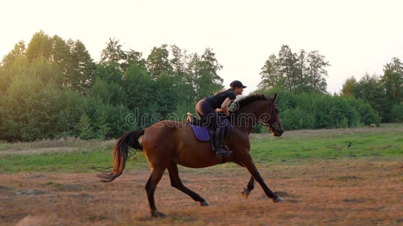 Há uma mulher andando a cavalo pulando sobre uma cerca de madeira