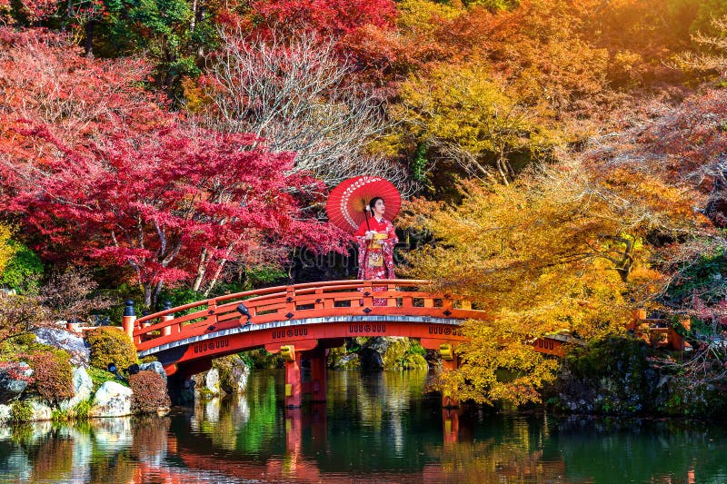 A Mulher Japonesa Está Escolhendo Roupas Para Comprar Imagem de Stock  Editorial - Imagem de desenhador, osaka: 175392219