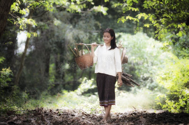 Mulher asiática que trabalha na floresta úmida fotografia de stock Mulher asiática que trabalha na floresta úmida fotografia de stock