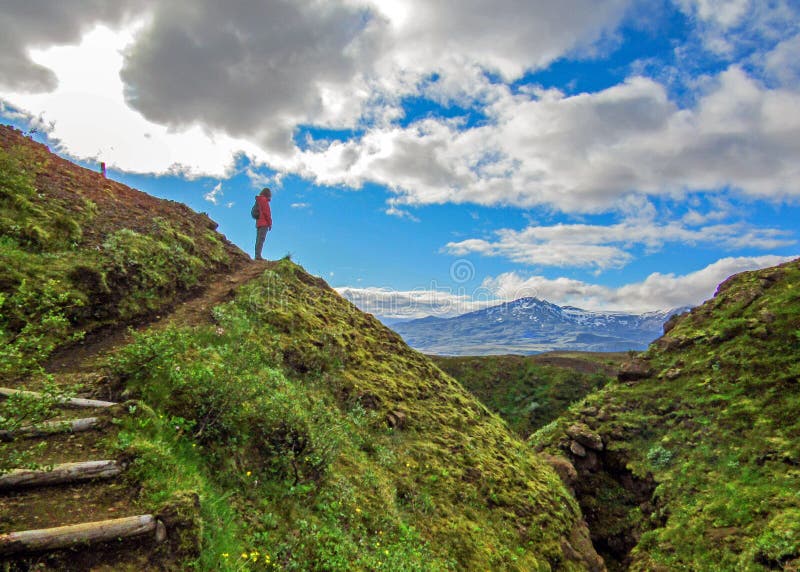 Mulher bem sucedida do caminhante que está apenas no selvagem na parte superior da montanha e que olha aos destinos cênicos, exci fotografia de stock Mulher bem sucedida do caminhante que está apenas no selvagem na parte superior da montanha e que olha aos destinos cênicos, exci fotografia de stock