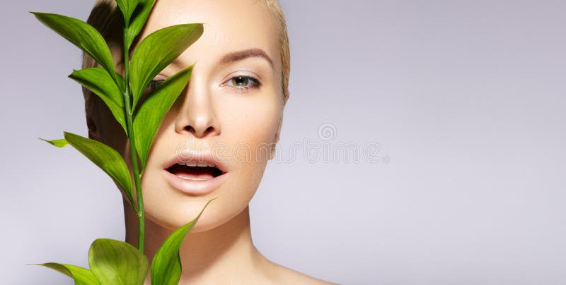 A mulher bonita aplica o cosmético orgânico Termas e wellness Modele com pele limpa, composição natural, folha Copie o espaço imagens de stock royalty free A mulher bonita aplica o cosmético orgânico Termas e wellness Modele com pele limpa, composição natural, folha Copie o espaço imagens de stock royalty free