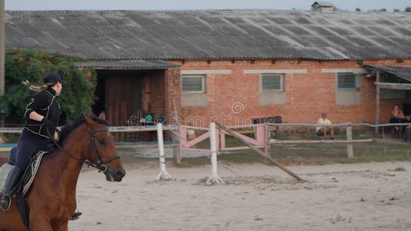 Mulher Cavaleira Cavalgando a Cavalo Marrom E Pulando a Cerca Na Arena De  Sandy Parkour Aperfeiçoamento Profissional Competitivo Imagem de Stock -  Imagem de fêmea, marrom: 165294797