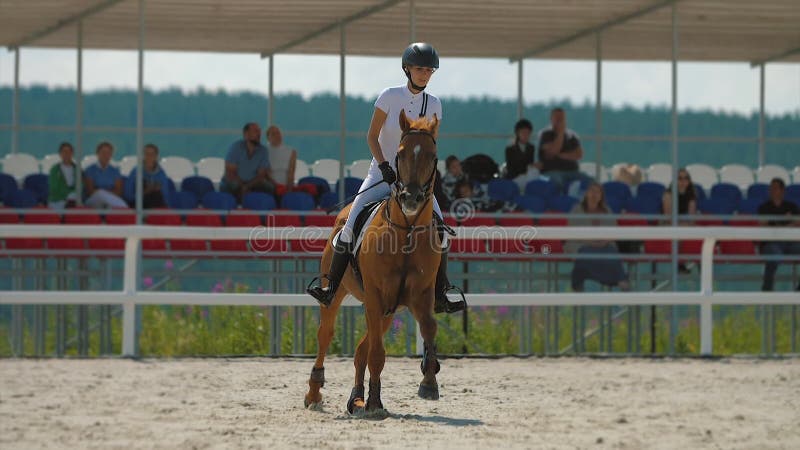 Mulher Cavaleira Cavalgando a Cavalo Marrom E Pulando a Cerca Na Arena De  Sandy Parkour Aperfeiçoamento Profissional Competitivo Imagem de Stock -  Imagem de fêmea, marrom: 165294797