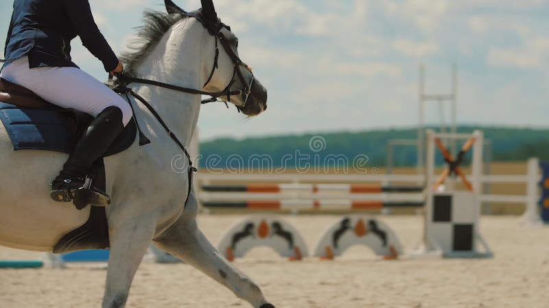 Mulher-cavalo Cavalgando a Cavalo Marrom E Pulando a Cerca Na Arena De  Sandy Parkour Salto De Treinamento Competitivo Filme - Vídeo de cantor,  mostra: 160093714