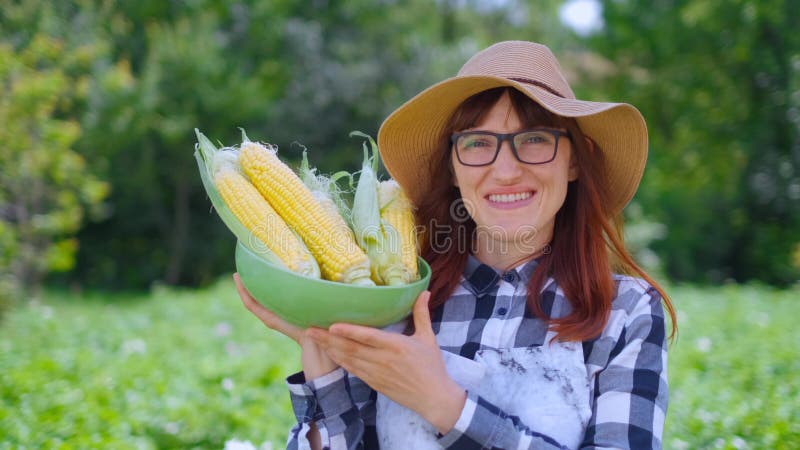 Mulher com milho em uma cesta, em uma exploração agrícola ou em um jardim vegetal O conceito de colher ou de vender vegetais