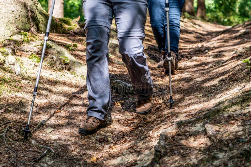 Mulher da moça que caminha schoes e opinião do detalhe das varas na atividade exterior da floresta na natureza foto de stock Mulher da moça que caminha schoes e opinião do detalhe das varas na atividade exterior da floresta na natureza foto de stock