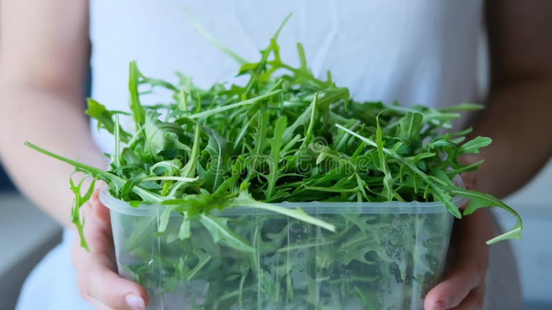 Mulher a deitar folhas frescas de arugula no contentor