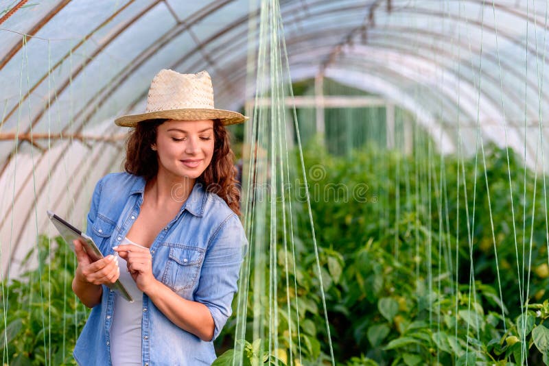 Mulher do empresário em sua tabuleta da terra arrendada da estufa Mulher de neg?cios nova foto de stock Mulher do empresário em sua tabuleta da terra arrendada da estufa Mulher de neg?cios nova foto de stock