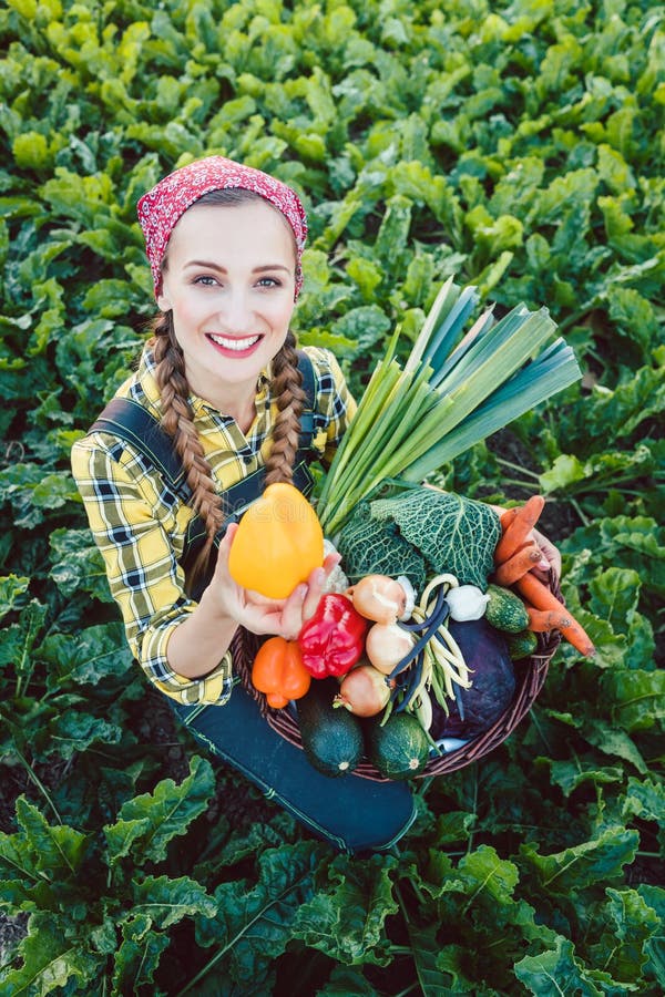 Farmer woman in a field offering colorful organic vegetables as healthy food. Farmer woman in a field offering colorful organic vegetables as healthy food