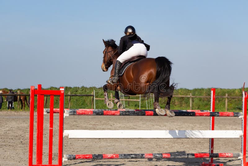 Mulher E Cavalo Pulando Uma Cerca Imagem de Stock - Imagem de equestre,  animal: 208048229