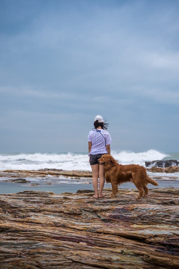 Mulher e golden retriever na praia imagem de stock Mulher e golden retriever na praia imagem de stock