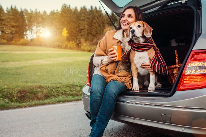 A mulher e o cão com xailes sentam-se junto no tronco de carro no outono fotografia de stock A mulher e o cão com xailes sentam-se junto no tronco de carro no outono fotografia de stock