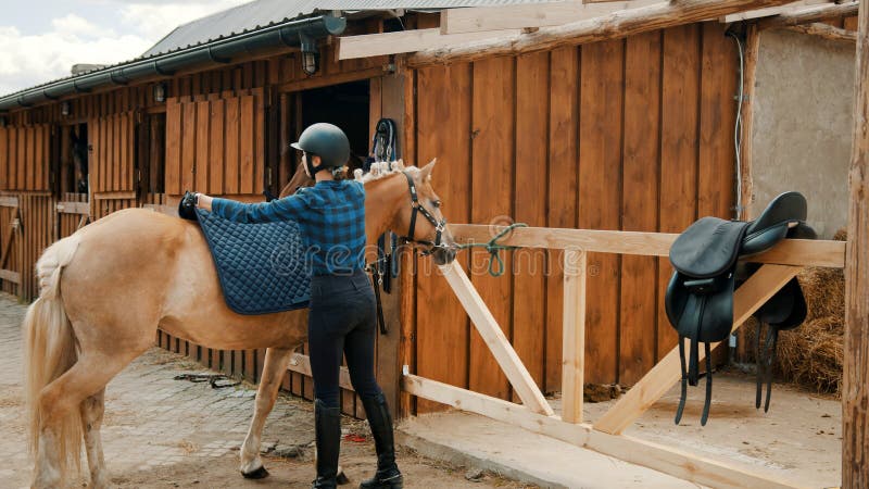 Mulher Jockey Com Seu Cavalo Marrom Selado Patenteando O Garanhão