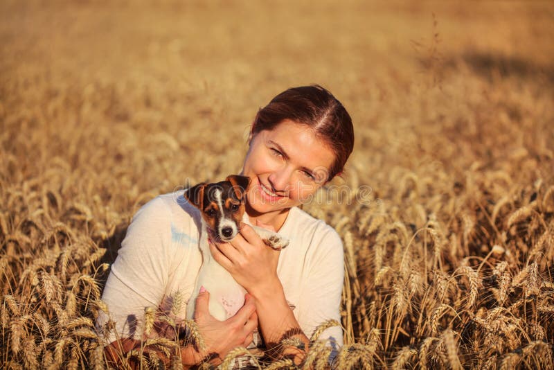 A mulher moreno nova que guarda o cachorrinho em suas mãos, sorrindo, por do sol do terrier de Jack Russell iluminou o campo de t foto de stock royalty free A mulher moreno nova que guarda o cachorrinho em suas mãos, sorrindo, por do sol do terrier de Jack Russell iluminou o campo de t foto de stock royalty free