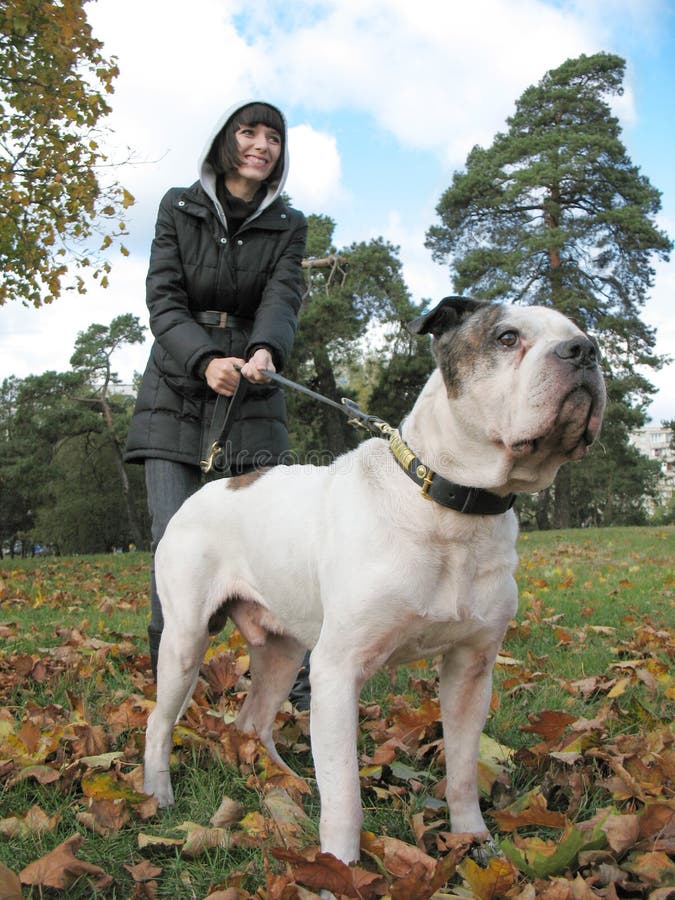 Jovem mulher e cão forte fotografia de stock royalty free