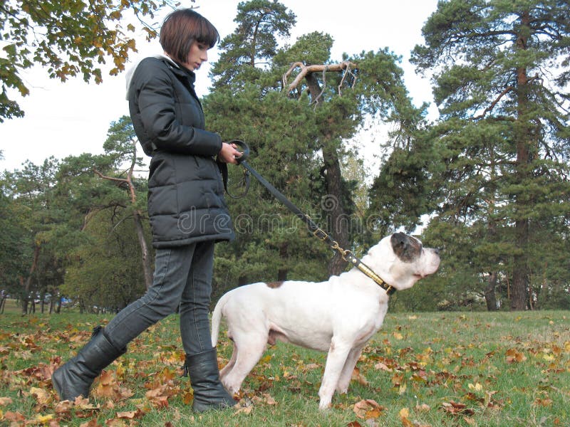 Jovem mulher e cão forte imagem de stock