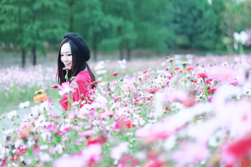 Jovem sentada num banco. Margarida, liberdade foto de stock royalty free
