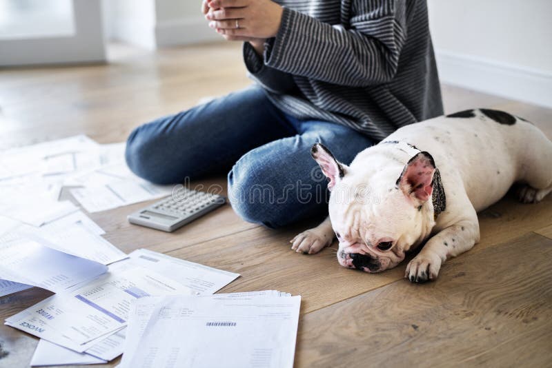 Mulher que controla o débito e que usa o telefone perto do cão de estimação foto de stock royalty free Mulher que controla o débito e que usa o telefone perto do cão de estimação foto de stock royalty free