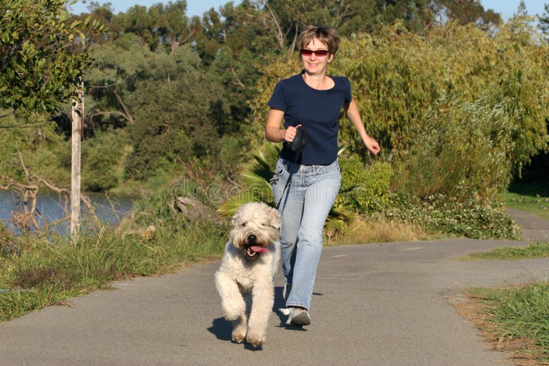 Mulher que funciona com seu cão foto de stock Mulher que funciona com seu cão foto de stock