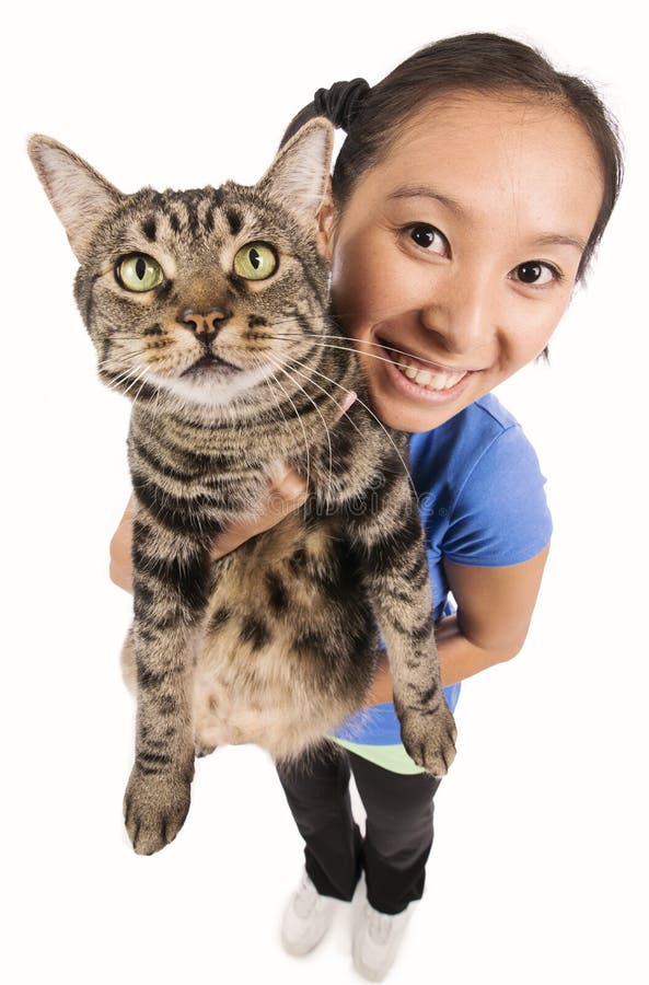 Mulher que guarda um gato imagens de stock Mulher que guarda um gato imagens de stock