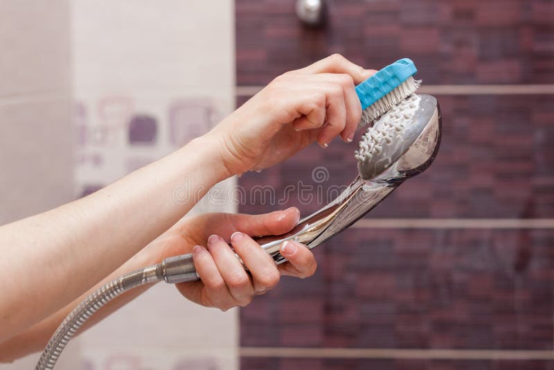 Mulher que limpa uma cabeça de chuveiro calcificada no banheiro doméstico com a escova pequena