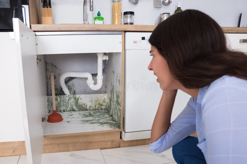 Young Woman Looking At Mold In Cabinet Area In Kitchen. Young Woman Looking At Mold In Cabinet Area In Kitchen