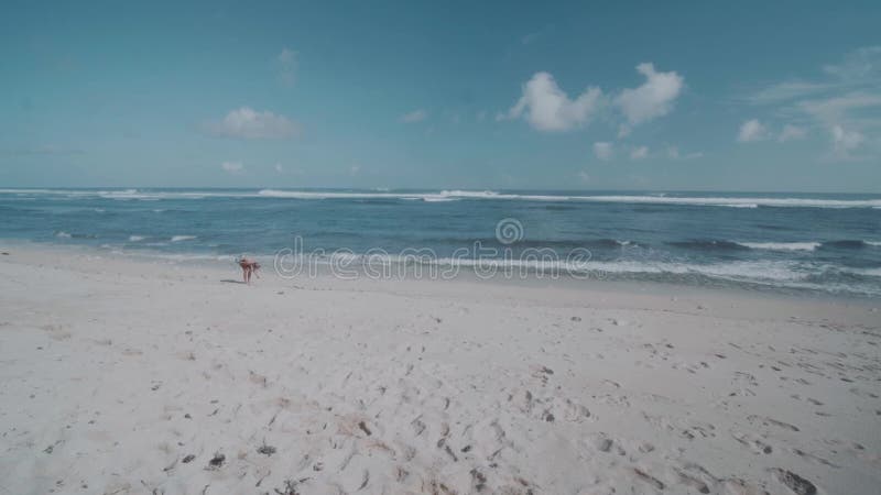 Mulher que recolhe conchas do mar na praia