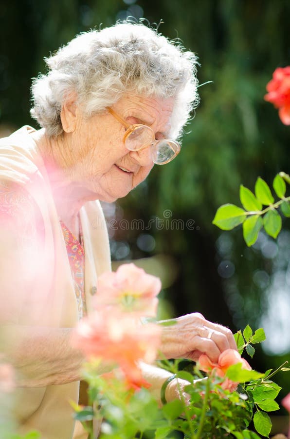 Mulher superior com rosas do jardim imagem de stock royalty free Mulher superior com rosas do jardim imagem de stock royalty free